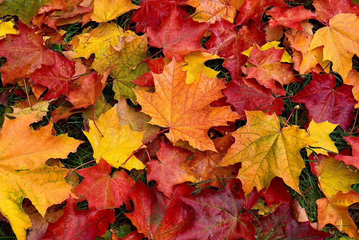 Cambio di stagione? Scopri come affrontare l'autunno col piede giusto!