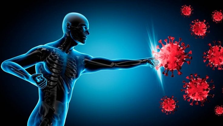 Potenzia il tuo Sistema Immunitario. Ma cosa vuol dire?
