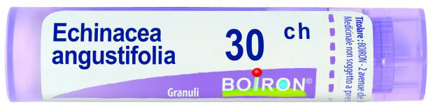 ECHINACEA ANGUSTIFOLIA 30 CH GRANULI - Magnumfarma.it