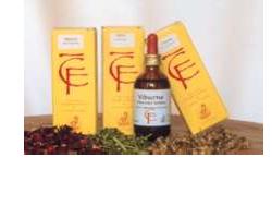 QUERCIA GEMME 50ML MG - Magnumfarma.it