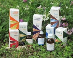 RAEMIL SALVIA MACERATO IDROALCOLICO COMP 50 ML - Magnumfarma.it