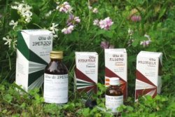 RAEMIL PRIMULA OLIO 25 ML - Magnumfarma.it