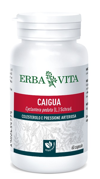 CAIGUA 60 CAPSULE 400 MG - Magnumfarma.it