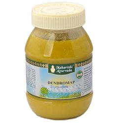DENDROMAP PASTA 250 G - Magnumfarma.it