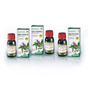 GEMMOSOL 24 FICO 50ML - Magnumfarma.it