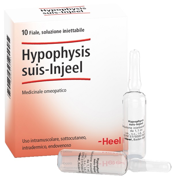 HEEL HYPOPHYSIS SUIS INJEEL 10 FIALE - Magnumfarma.it