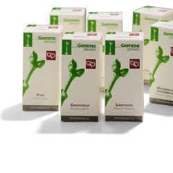 ALLORO MACERATO GLICERICO 100 ML - Magnumfarma.it