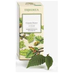 RIBES NIGRUM GEMME GEMMODERIVATO BIO 50 ML - Magnumfarma.it
