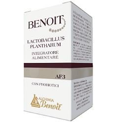 BENOIT LACTOBACILLUS PLANTHARUM 30 CAPSULE - Magnumfarma.it