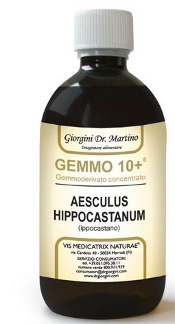 GEMOO 10+ GEMMODERIVATO CONCENTRATO IPPOCASTANO LIQUIDO ANALCOLICO AESCULUS HIPPOCASTANUM IPPOCASTANO 500 ML - Magnumfarma.it