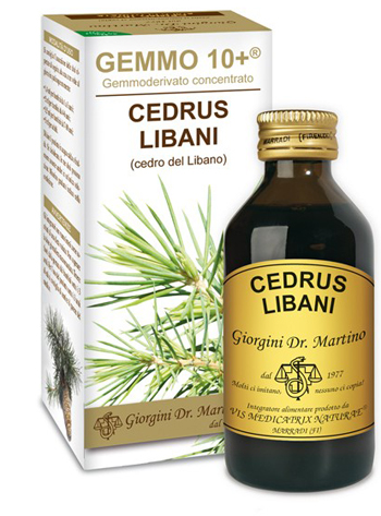 GEMMO 10+ CEDRO DEL LIBANO 100 ML LIQUIDO ANALCOLICO - Magnumfarma.it