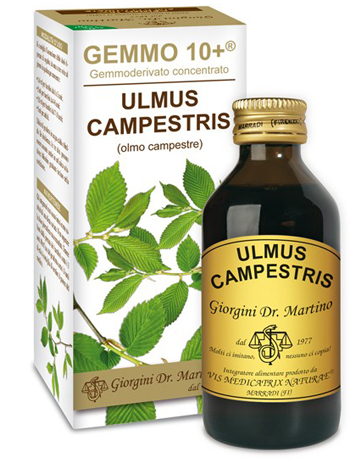 GEMMO 10+ OLMO CAMPESTRE 100 ML LIQUIDO ANALCOLICO - Magnumfarma.it