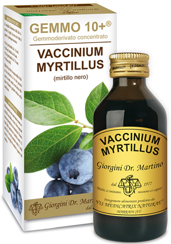 GEMMO 10+ GEMMODERIVATO CONCENTRATO VACCINIUM MYRTILLUS MIRTILLO NERO SENZA ALCOOL 100 ML - Magnumfarma.it