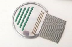 PETTINE ACCIAIO PER RIMOZIONE PIDOCCHI - Magnumfarma.it