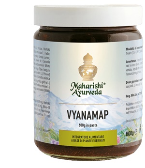 VYANAMAP PASTA 600 G - Magnumfarma.it