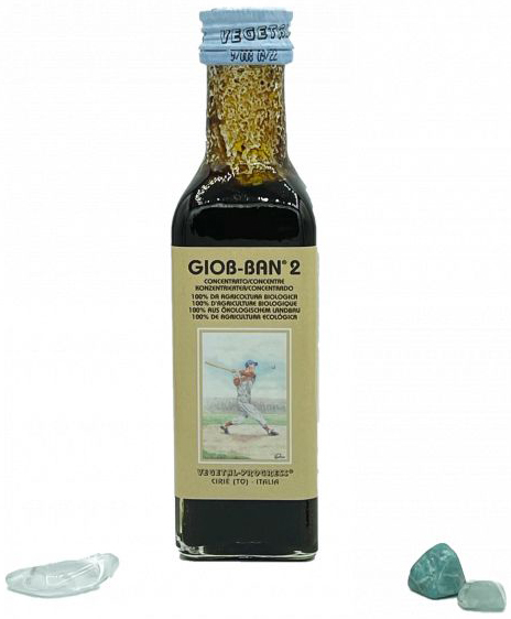 GIOB BAN 2 ART ESTRATTO CONCENTRATO BIOLOGICO 100 ML - Magnumfarma.it