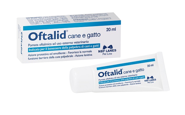 OFTALID POMATA OFTALMICA 20 ML - Magnumfarma.it