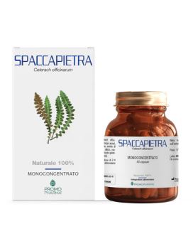 SPACCAPIETRA 50 CAPSULE - Magnumfarma.it