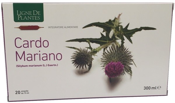 CARDO MARIANO 20 AMPOLLE BEVIBILI DA 15 ML - Magnumfarma.it