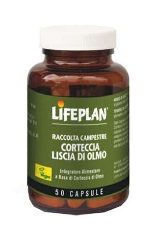 CORTECCIA LISCIA DI OLMO 50 CAPSULE - Magnumfarma.it